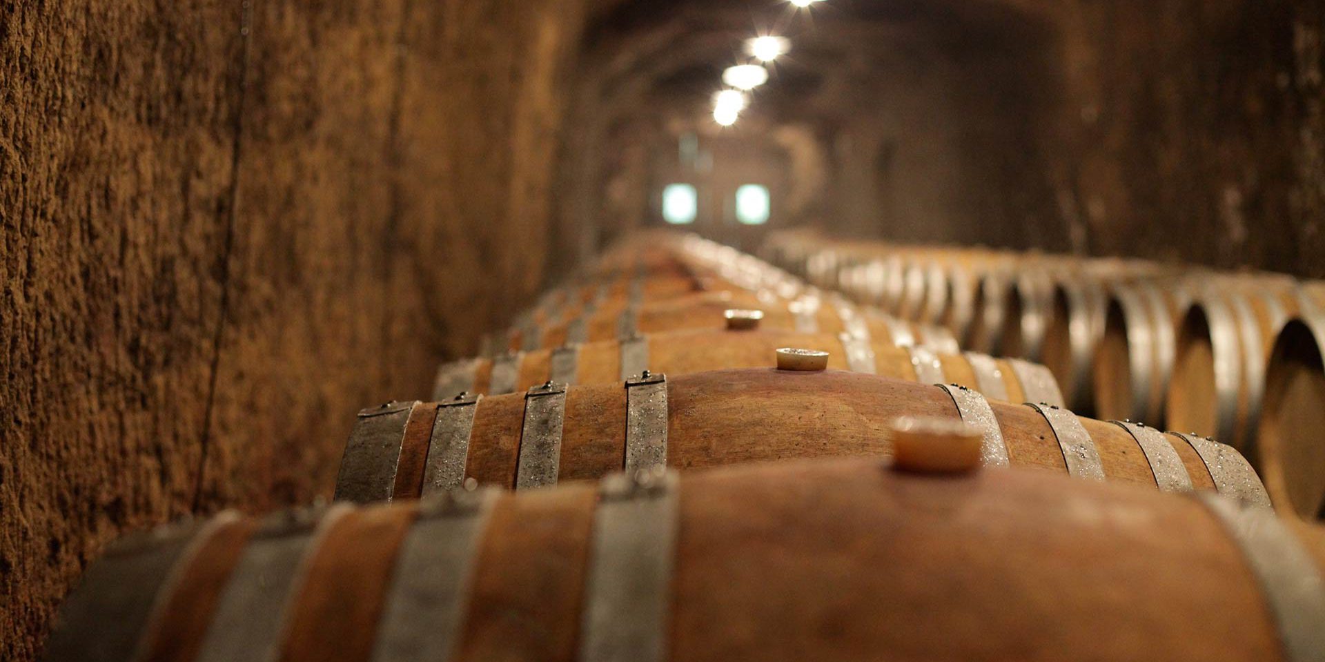Decugnano dei Barbi is an exellent winery in winery